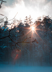 Winter - Sonnenuntergang 