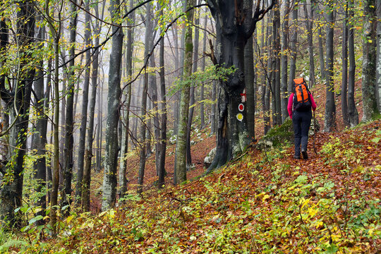 Autumn trekking in Cernei Mountains, Crovuri, Romania, Europe