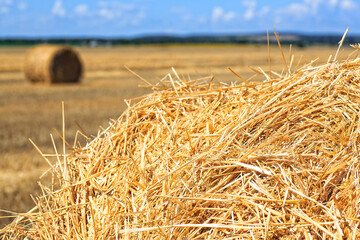 Fototapeta na wymiar Rolls of hay in the autumn field. Bales of straw in the wheat field. Agricultural background.