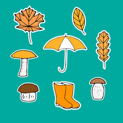 Set of autumn stickers, vector illustration, hand drawing