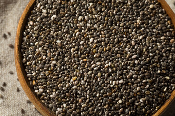 Raw Dry Organic Chia Seeds
