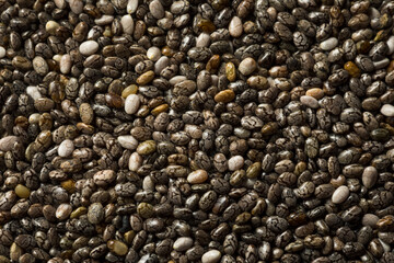 Raw Dry Organic Chia Seeds