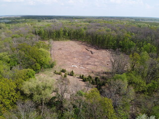 A place of felling, aerial view. Devastated land, clearing.