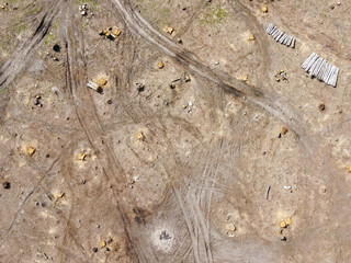 Logging place, aerial view. Devastated land. Felled forest.