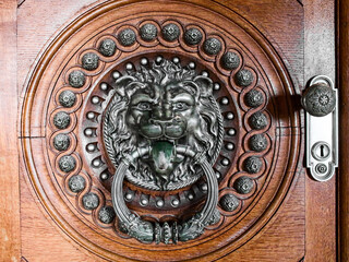 an antique metallic lion-shaped door knocker