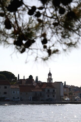 Traditional buildings in Sutivan, small town on island Brac, Croatia. Back lit, selective focus. Pine tree branches in the foreground. 