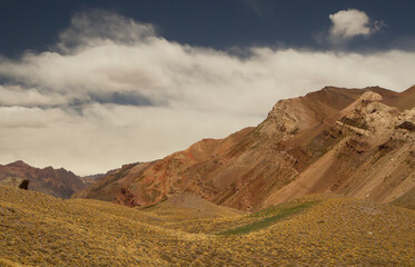 Panorama view of the golden meadow, valley and rocky mountains. 