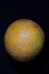 Yellow melon with a texture on a black background. Summer food. Yellow/