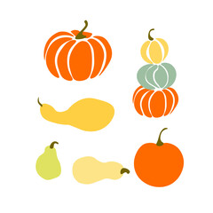 Pumpkin organic food vector illustration autumn vegetarian halloween icon design fall harvest decoration garden