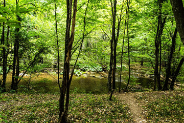Beu river. Cheile Nerei-Beusnita National Park, Romania.