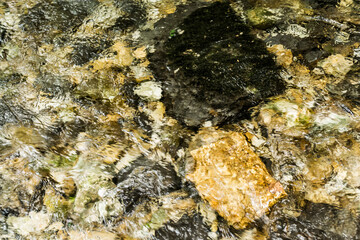 Close up of a river water