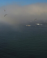Camelle. Aerial view of coast and village in Galicia.Spain. Drone Photo