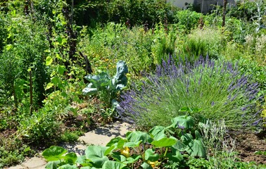 ein bunter Bauerngarten