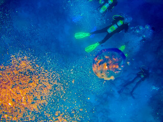 Fototapeta na wymiar Scuba divers at sea tropical depth, bright adventures under water, coral reefs, air bubbles