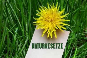 Naturgesetze