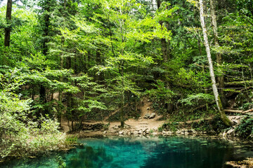 Fototapeta na wymiar Ochiul Beiului, emerald lake in National Park Cheile Nerei - Beusnita, Banat, Romania.