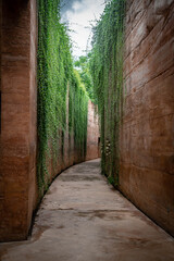 Obraz premium Romantic Tunnel Of Autumnal Hedges.