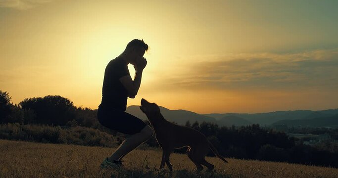 Silhouettes of runner and dog on field under golden sunset sky in evening time. Outdoor running. Athletic young man with his dog are running in nature. 4K video