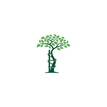 Orthopedic Tree Images – Browse 837 Stock Photos, Vectors, and Video |  Adobe Stock