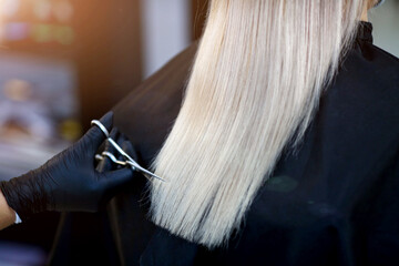 Naklejka premium A hairdresser in rubber gloves holds a pair of scissors and a comb. Woman getting a new haircut.