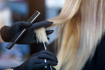 Naklejka premium A hairdresser in rubber gloves holds a pair of scissors and a comb. Woman getting a new haircut.
