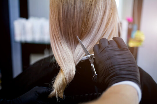 Hands of a hairdresser in rubber gloves cut blonde is tail. Woman getting a new haircut.