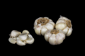 bunch of Garlics isolated black background
