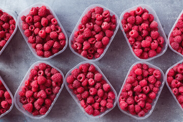 Freshly picked red raspberries in boxes