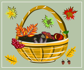 Basket. Autumn. Mushrooms. Leaves. Maple. Oak. Pumpkin. Rowan. An Apple. September. October. November. Set of autumn vector isolated images.