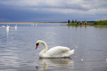 Nature reserve "Mewia Łacha" on the Polish coast of the Baltic Sea © Jan Piotr