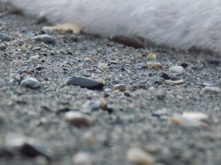 PIEDRAS 