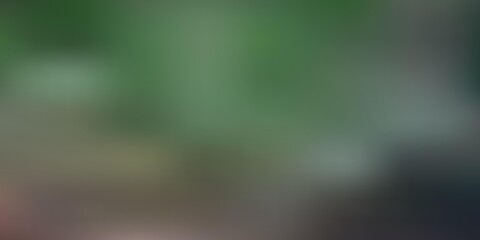 Dark green vector blurred texture.