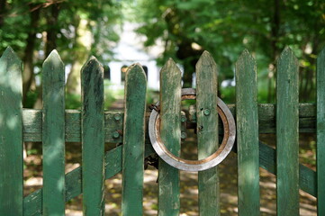 Fajera na płocie © PtakFOTO