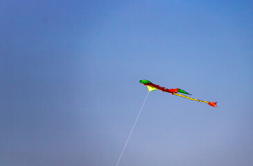 colorful kite in the sky