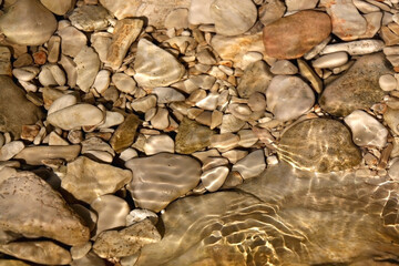 Pebbles in shallow sea, illuminated by sunlight. Selective focus.