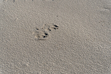 Different textures and patterns in the sand.