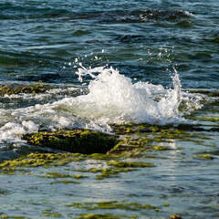 water splash on rocks