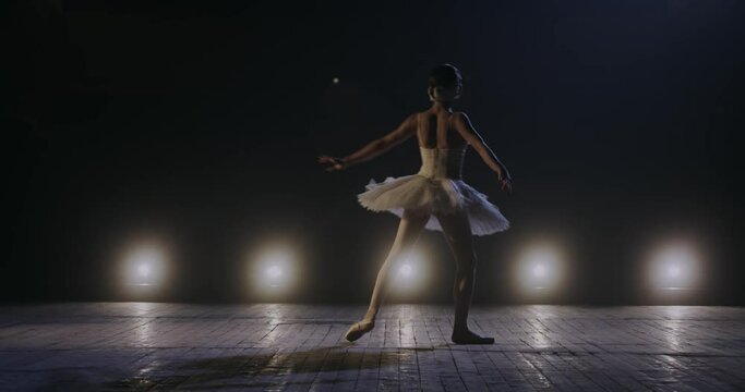 Rear of graceful young female ballerina in tutu dancing charmingly and doing pas in light of blue light projectors on stage of theater. Back view on diligent woman dancer of ballet in lamps lights.