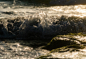 water splash on rocks sunset over the sea