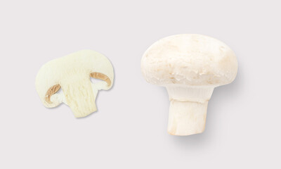 Mushroom and slice on a white background