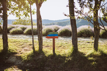 Colorfull signpost