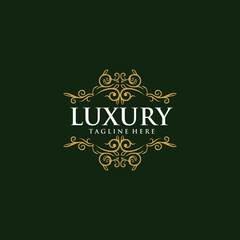 luxury abstract logo