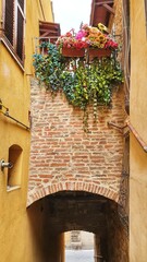 Fototapeta na wymiar Ancient arch with decorative flowers in an alley of Montepulciano, Toscana, Italy.