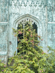 old stone wall with flowers