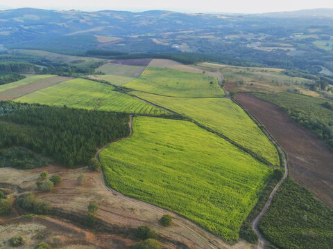 Green fields in Spain. Aerial Photo
