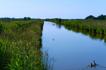 Entwässerungskanal auf der Insel Föhr