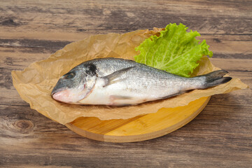 Raw Dorada fish  for cooking