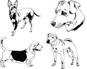 vector drawings sketches pedigree dogs and cats  drawn in ink by hand , objects with no background