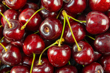 Exotic black large cherry background with close up on several berries.