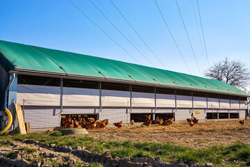 Mobile chicken coop with chickens on an organic farm. © DR pics